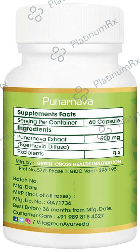 Vitagreen Punarnava 500mg Capsule