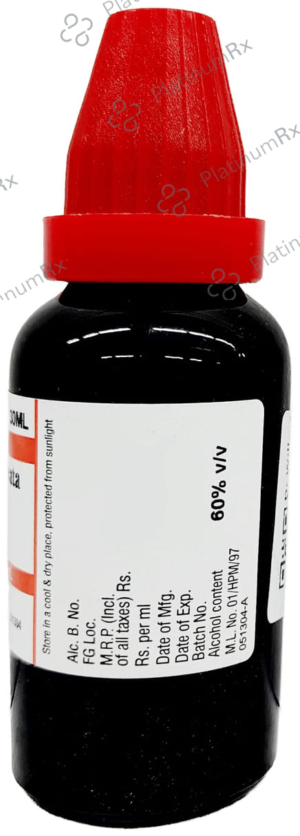 Dr Willmar Schwabe India Andrographis Paniculata Mother Tincture Q
