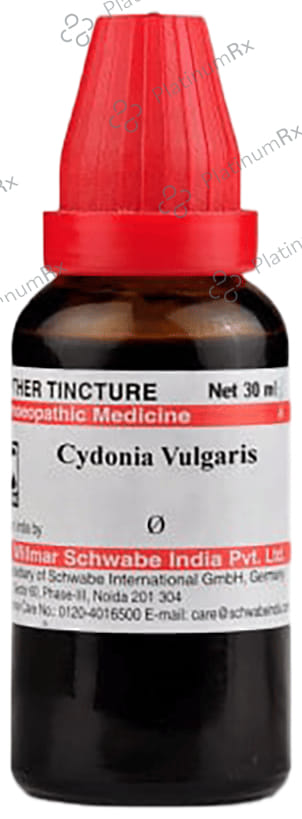 Dr Willmar Schwabe India Cydonia Vulgaris Mother Tincture Q