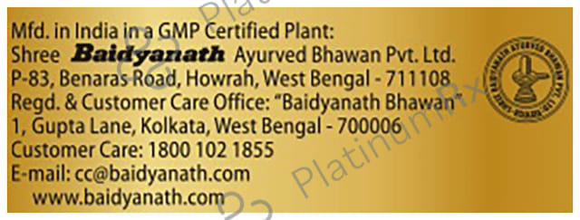 Baidyanath Chyawan Vit Sugarfree Chyawanprash 500gm