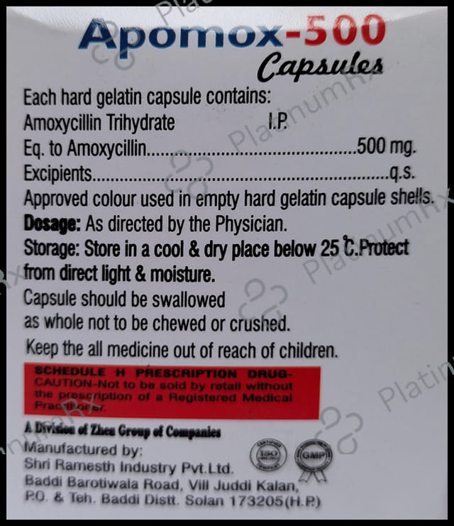 Apomox 500 Capsule
