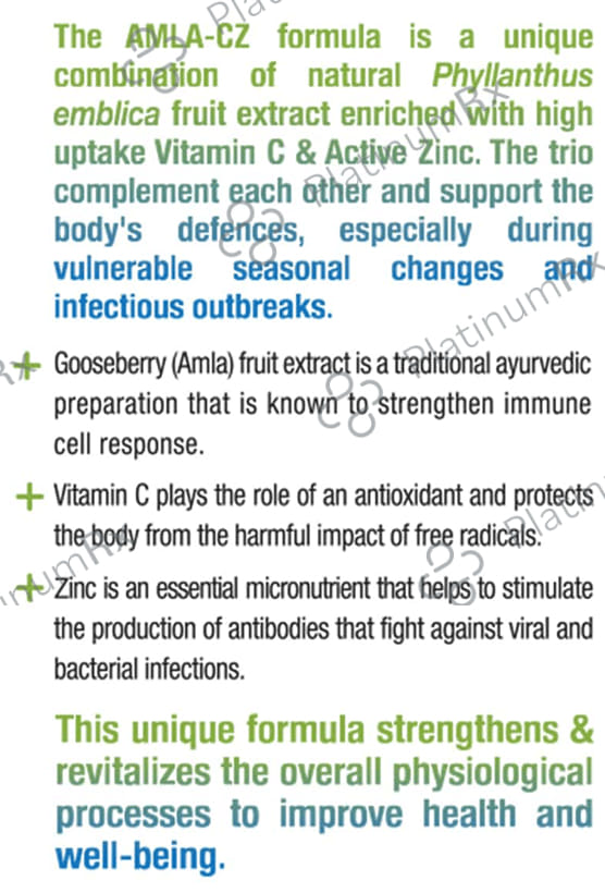 NatXtra Amla-CZ Enriched with Vitamin C & Acitve Zinc Supports Immune Health Capsule