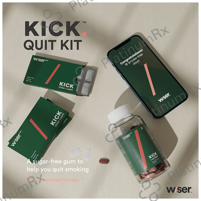 Wiser Men Kick Quit 4mg Smoking Kit 1s