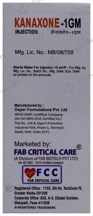 Kanaxone 1GM Injection